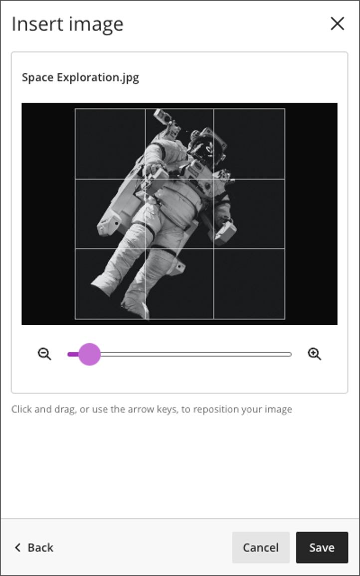 Drag or zoom the image to select the focal point